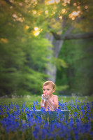 Runkel Family-photos